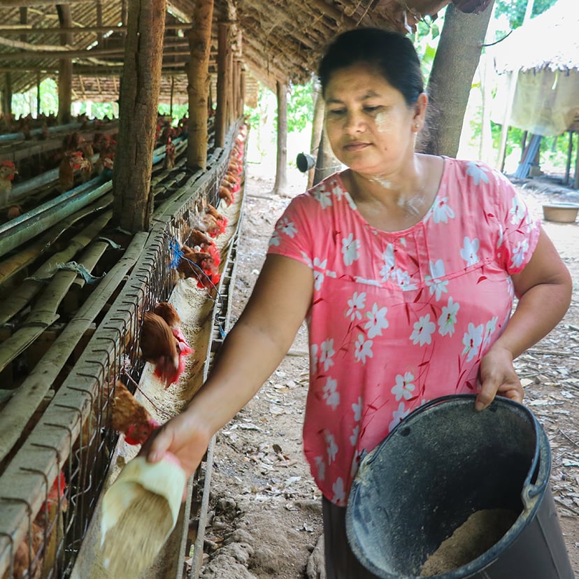 Agri and Livestock Loans