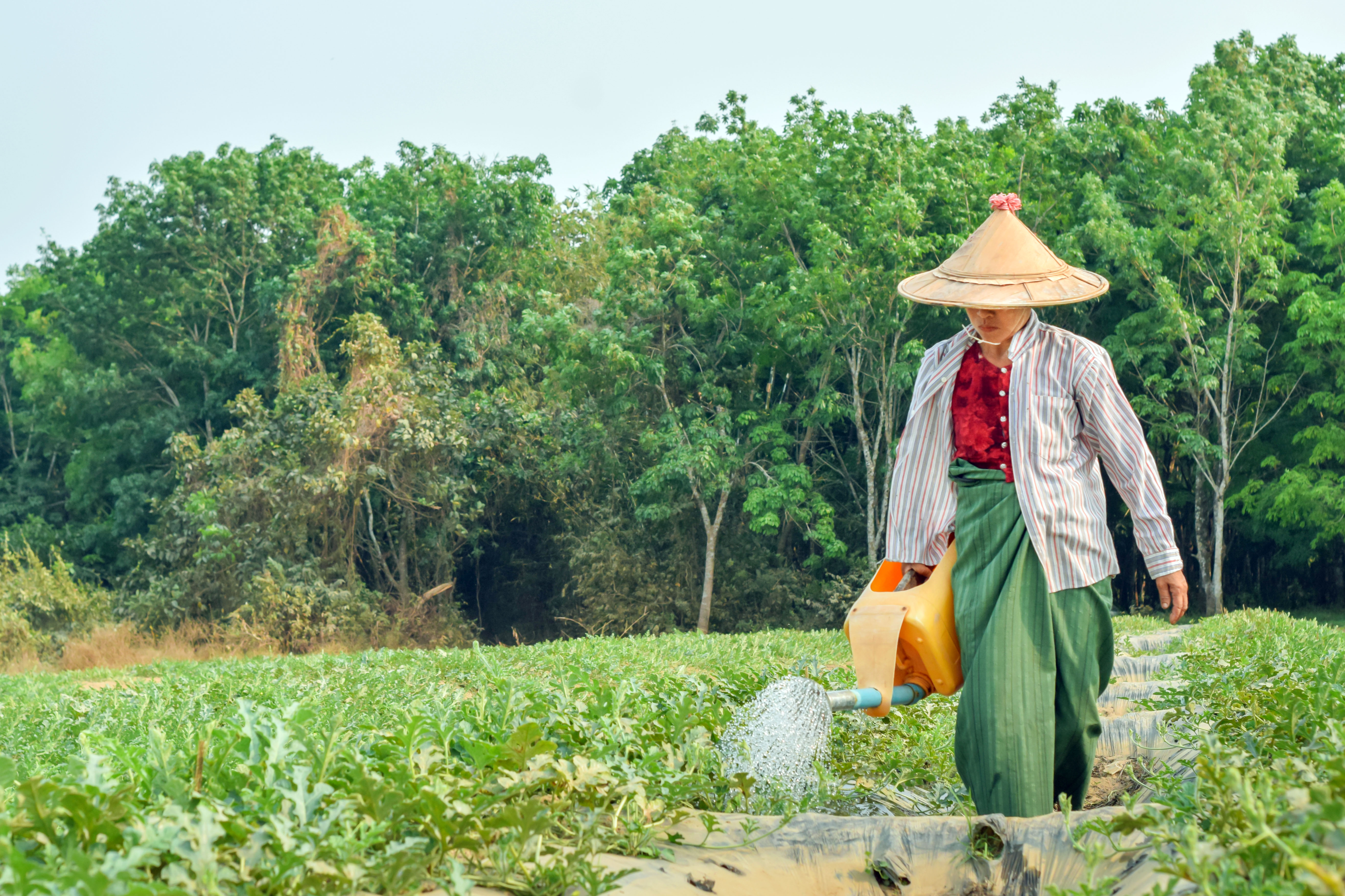 Small savings save the day for VisionFund Myanmar clients during COVID